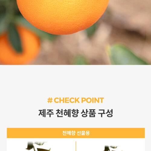 식품 상세페이지
