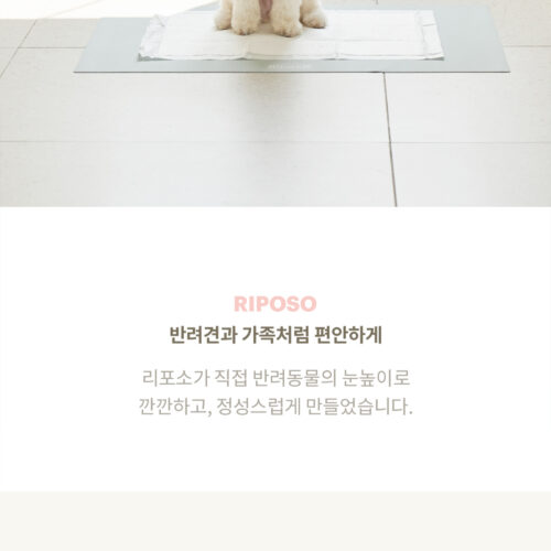 애견용품 상세페이지