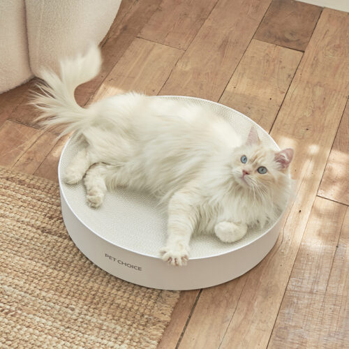 프랑코모다 라운드 스크레쳐 촬영