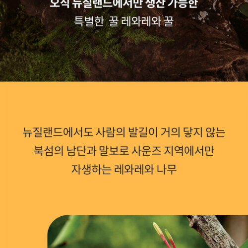 콤비타 레와레와꿀 상세페이지