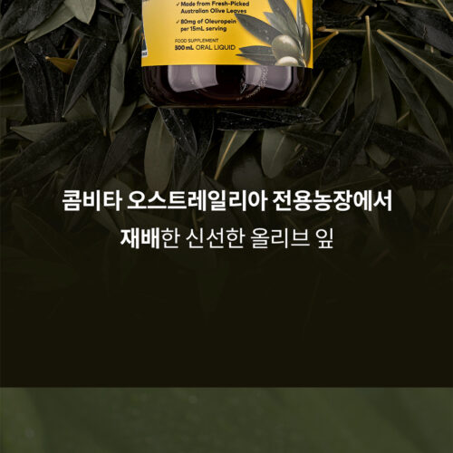 콤비타 올리브 잎 추출액 상세페이지
