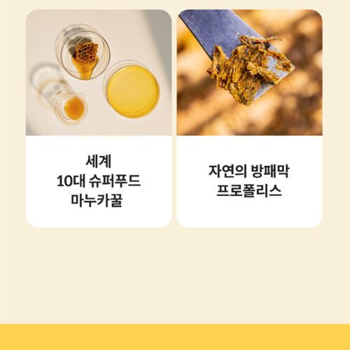 콤비타 마누카 허니 로렌지 레몬 상세페이지