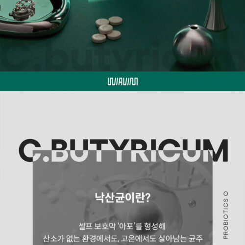 경동제약 위아바임 낙산균 프로바이오틱스O 상세페이지